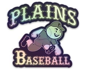 Plains Little League Baseball